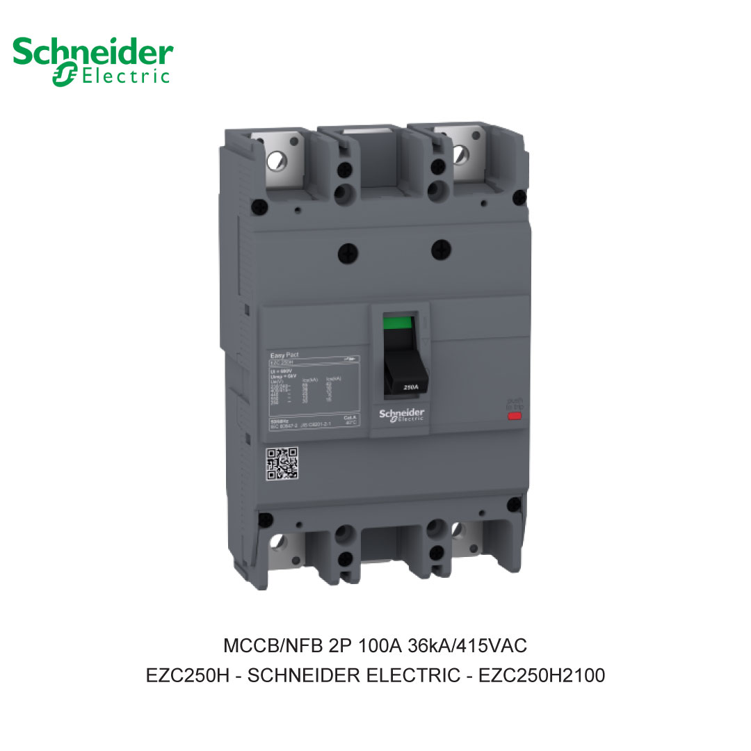 MCCB/NFB 2P 100A 36KA/415VAC