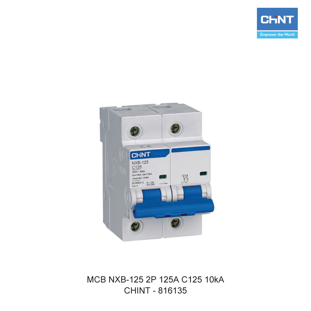 CHINT MCB NXB-125 2P 125A C125 10kA